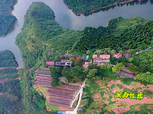 湖南湘西牧業有限公司全景圖